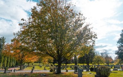 Cremation, Burial and Memorial Options in Whitby