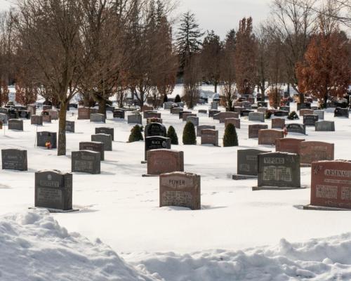 Winter at Groveside Cemetery 5