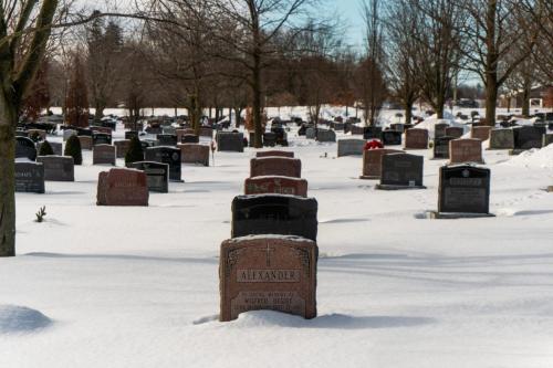 Winter at Groveside Cemetery 1