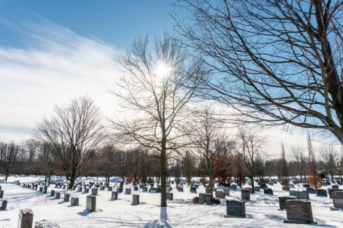 Winter at Groveside Cemetery 3