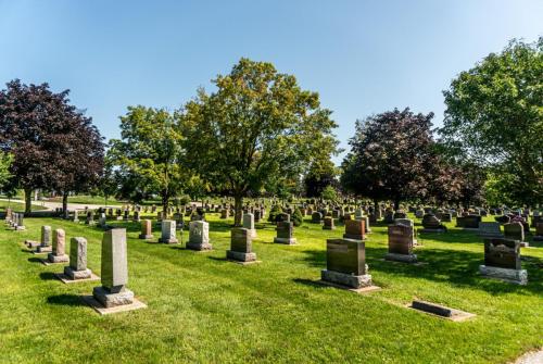 Summer at Groveside Cemetery 1