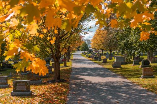 Fall at Groveside Cemetery 4