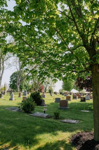 Spring at Groveside Cemetery 1